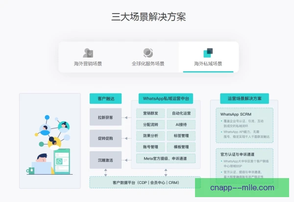 锋线组合多语种沟通管理，让进攻配合更默契